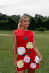 Floral Embroidered Mini Dress-Red