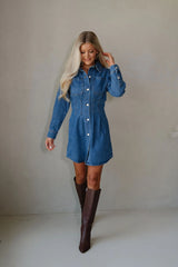 Zae Mini Dress-Denim Blue